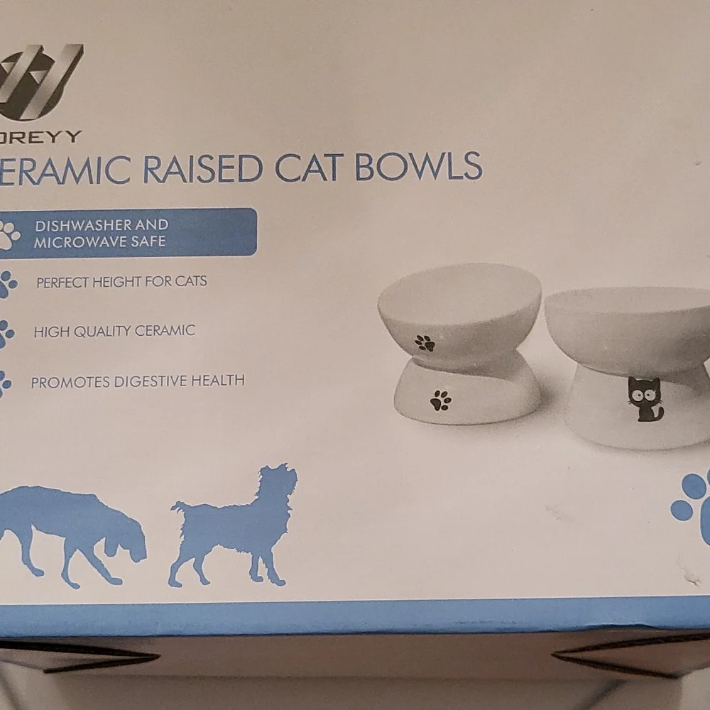 Cat bowls